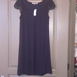 LOFT Lace Cap Sleeve Swing Dress